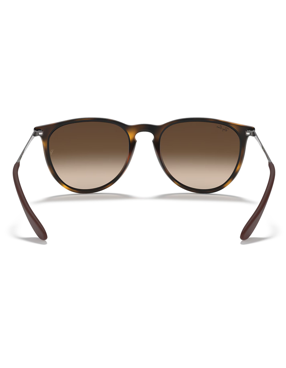 RAY-BAN Erika Classic Sunglasses - BROWN