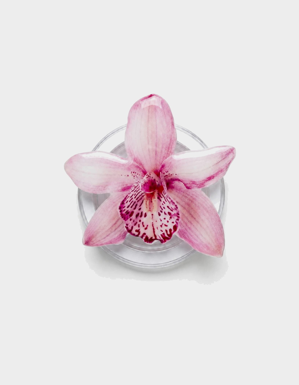 CORDEE CASES Pink Orchid Magnetic Phone Grip - LIGHT PINK