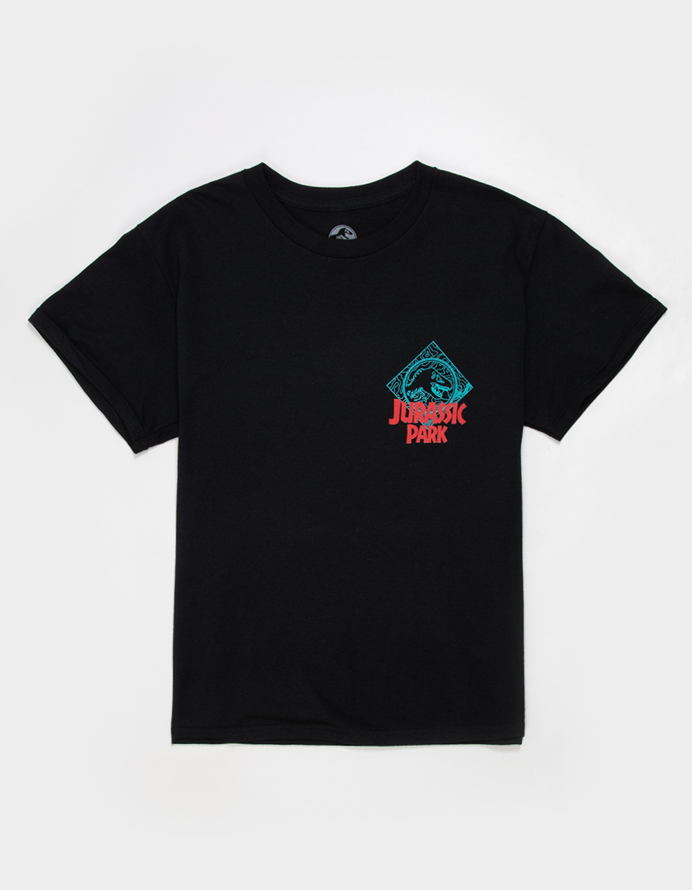 JURASSIC PARK Clever Boys Tee - BLACK