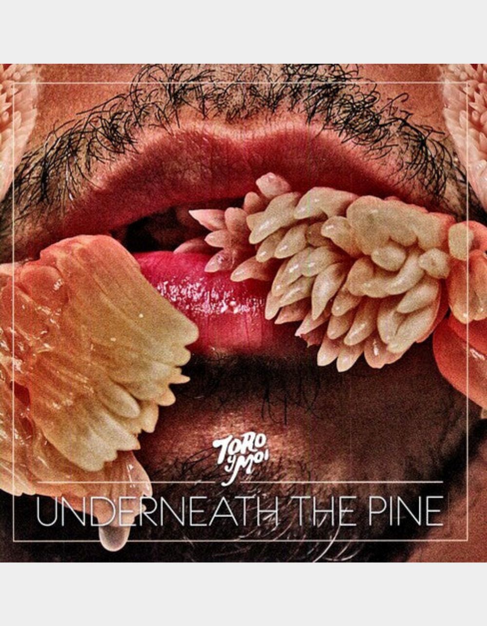 TORO Y MOI Underneath The Pine LP - No Color
