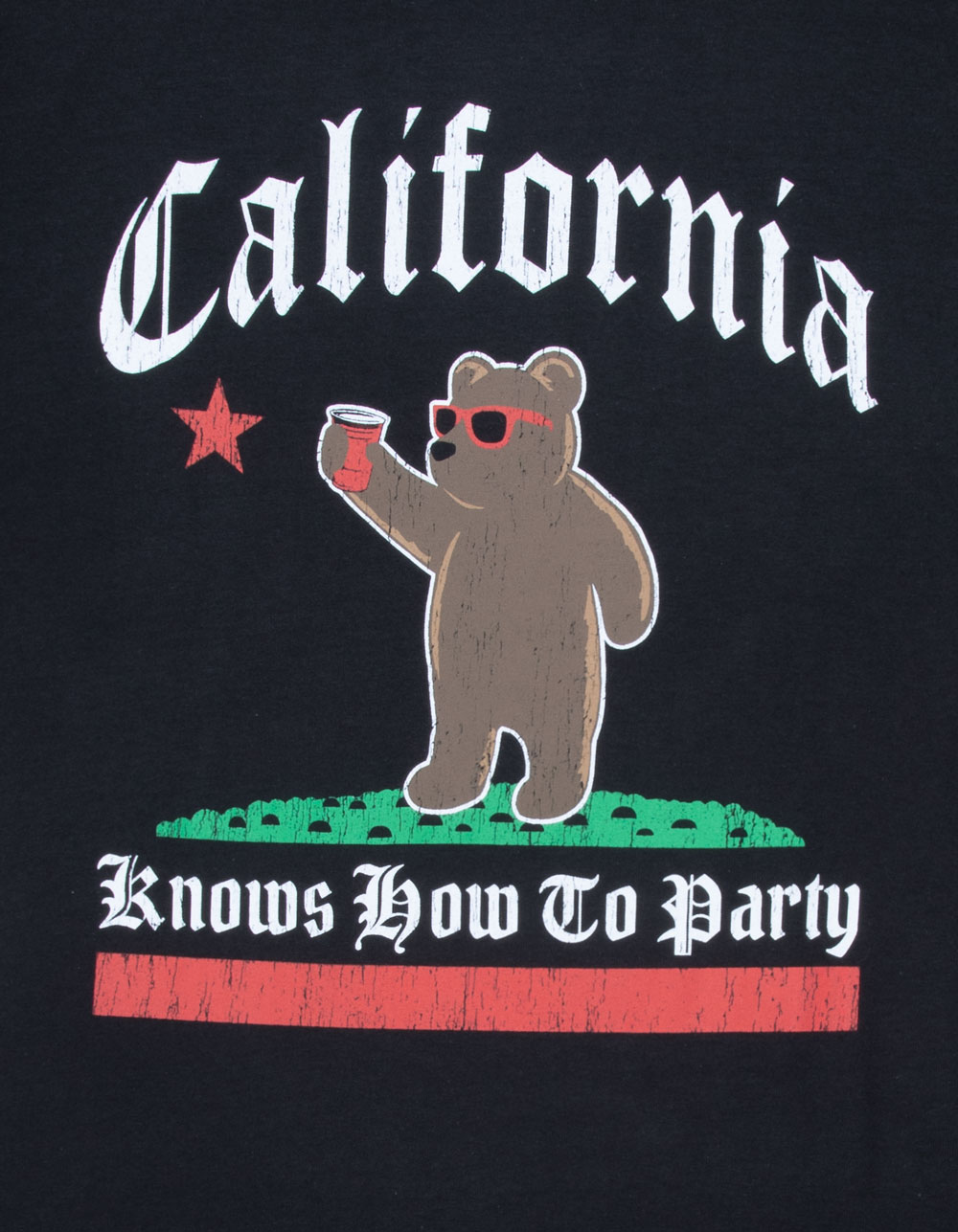 RIOT SOCIETY Cali Party Mens Tee - BLACK