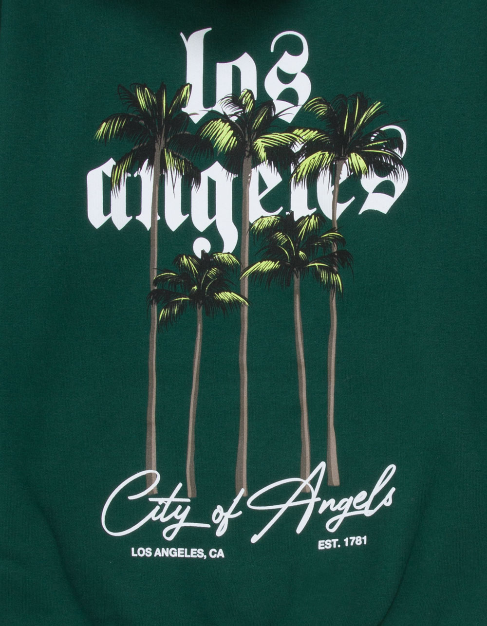 LA FAMILIA City Of Angels Boys Hoodie - FOREST