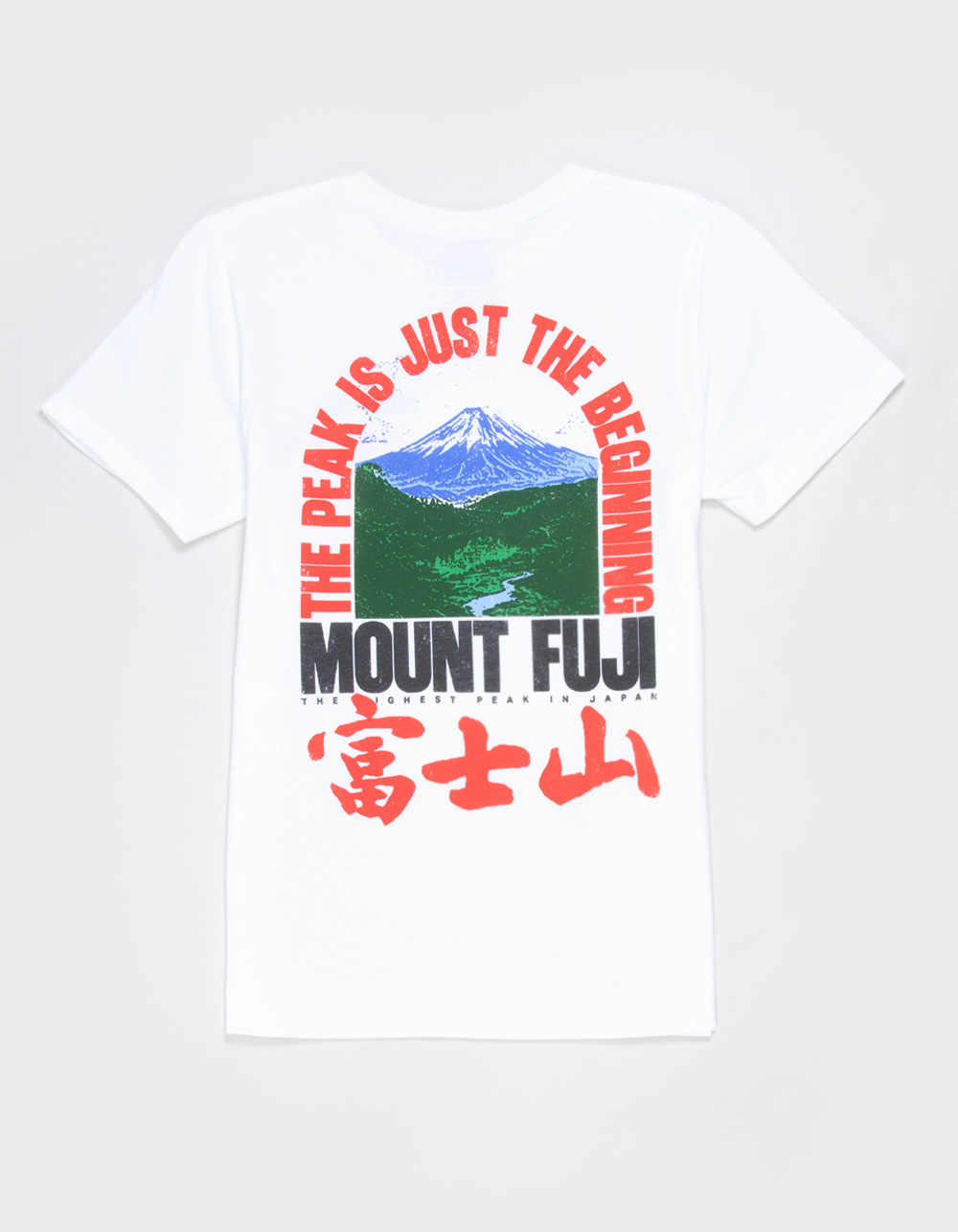 PLEASANT GETAWAY Mount Fuji Boys Tee - WHITE
