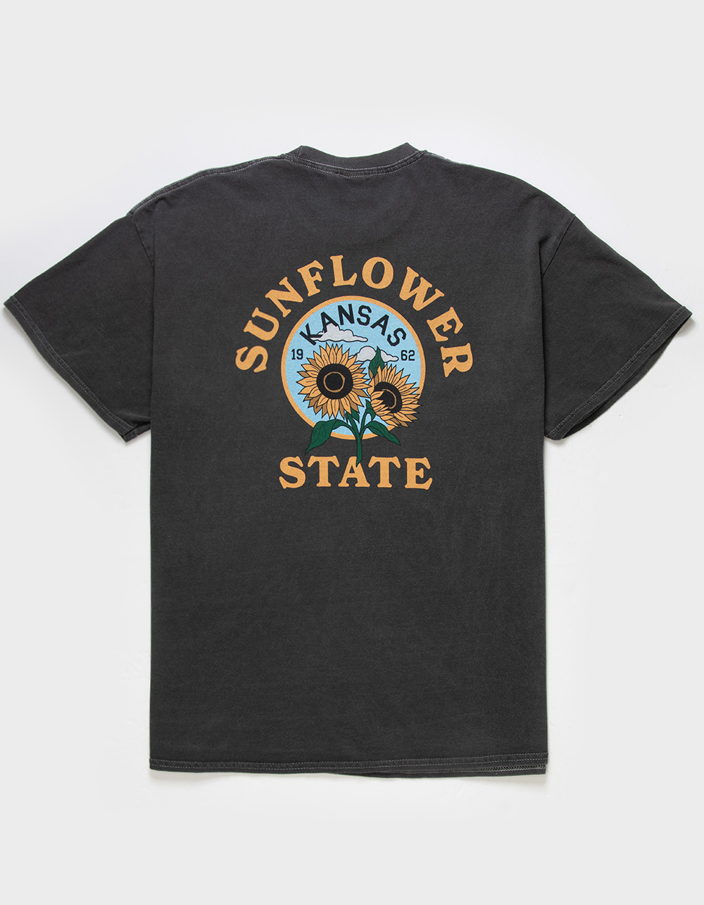 BDG Urban Outfitters Sunflower State Mens Tee