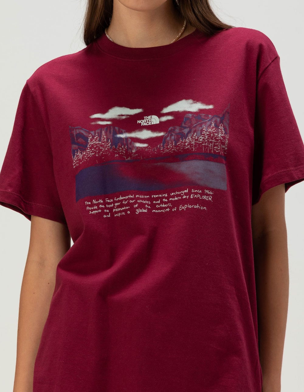 THE NORTH FACE Evolution Mountain Womens Tee - BURGUNDY
