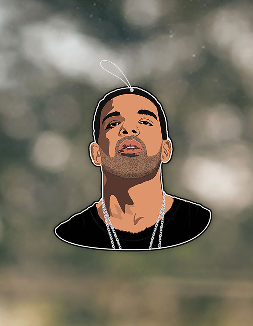 PRO AND HOP Take Care Drake Air Freshener MULTI Tillys