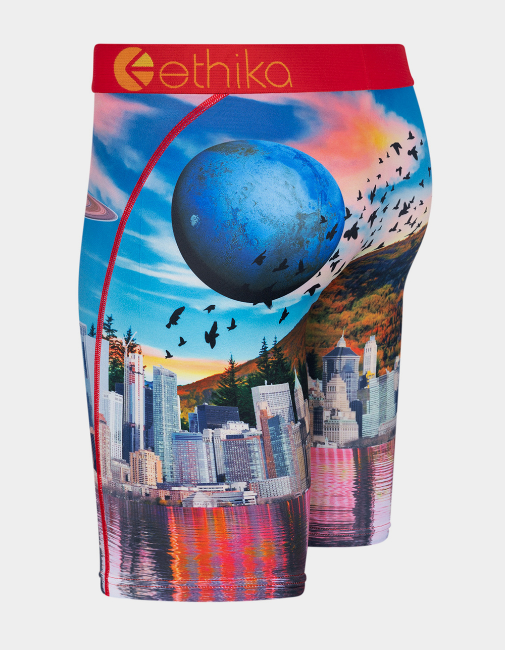 ETHIKA 2082 A.D. Staple Boys Boxer Briefs MULTI Tillys