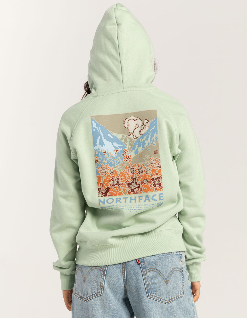 THE NORTH FACE Landscape Womens Hoodie - SAGE | Tillys
