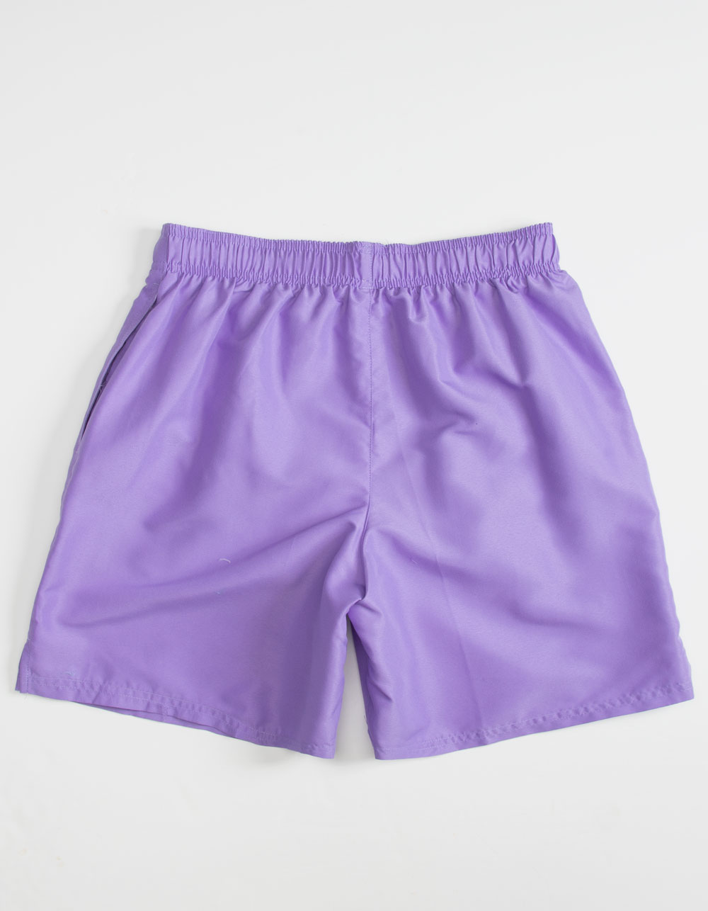 NIKE Essential Lap Mens Swim Volley Shorts VIOLET Tillys