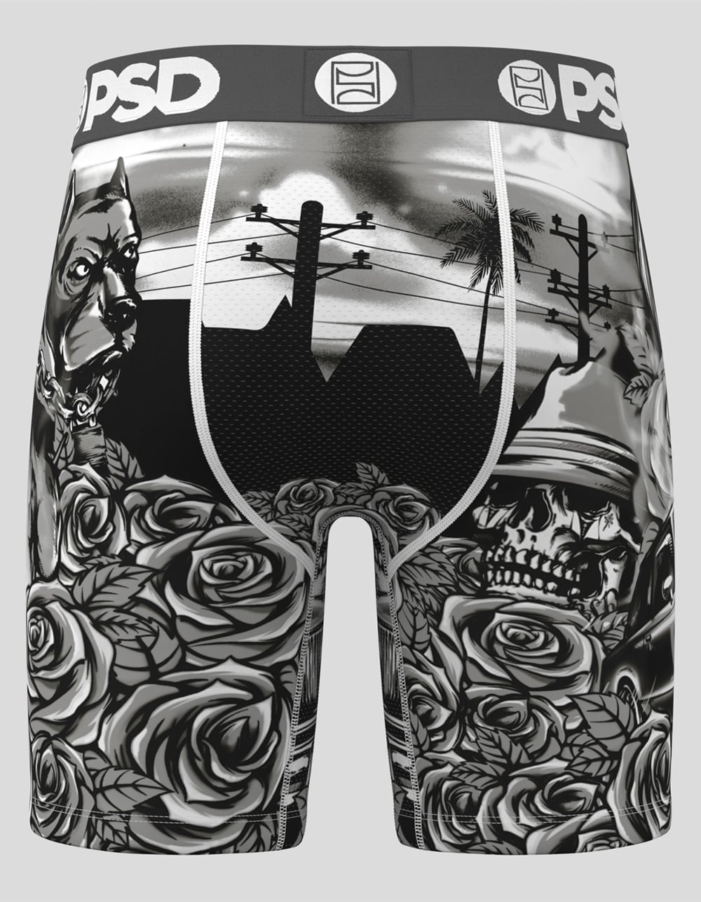 PSD Vatos Locos Mens Boxer Briefs - MULTI