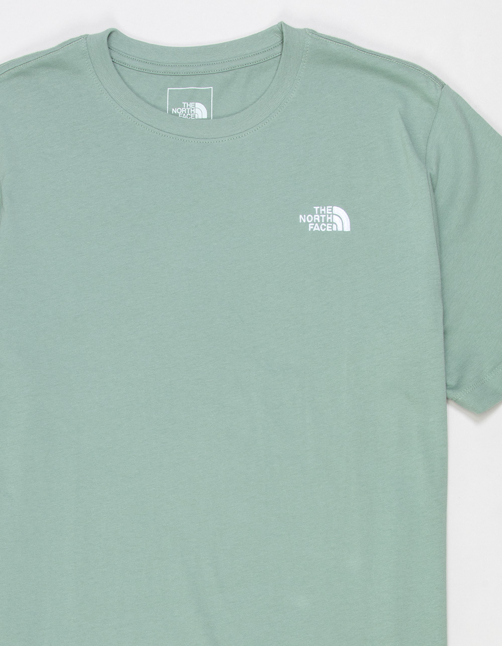 THE NORTH FACE Evolution Dome Mens Tee