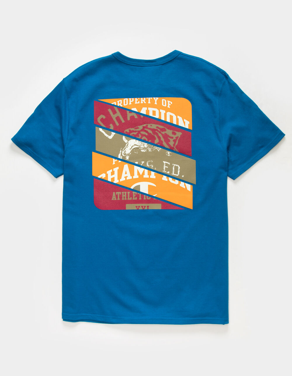 Graphic Tees for Men Tillys