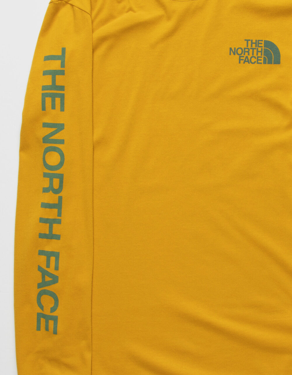 THE NORTH FACE Sleeve Hit Mens Tee ANTGL Tillys