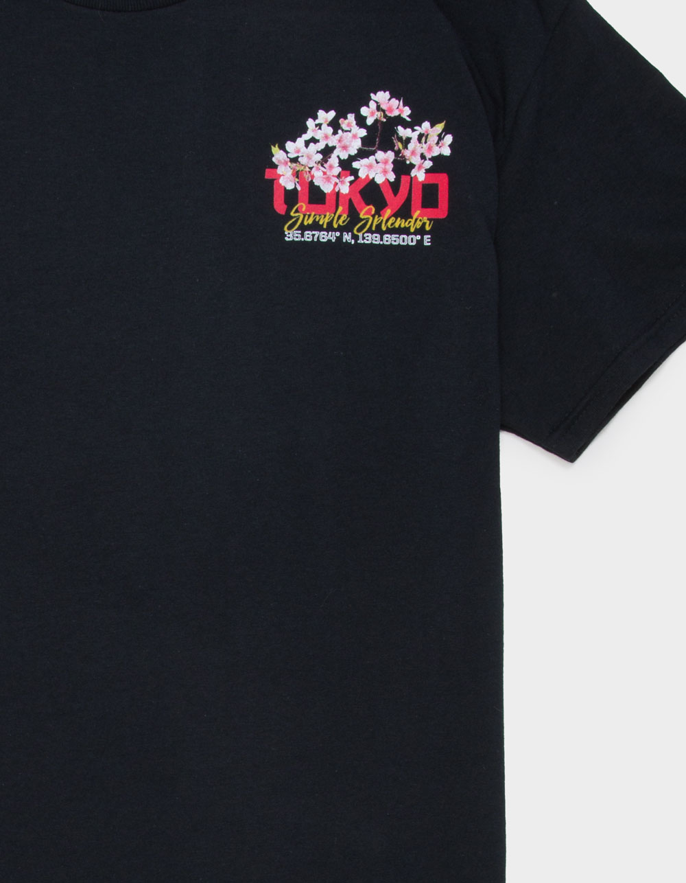 PLEASANT GETAWAY Laidback Mens Tee - WASHED BLACK