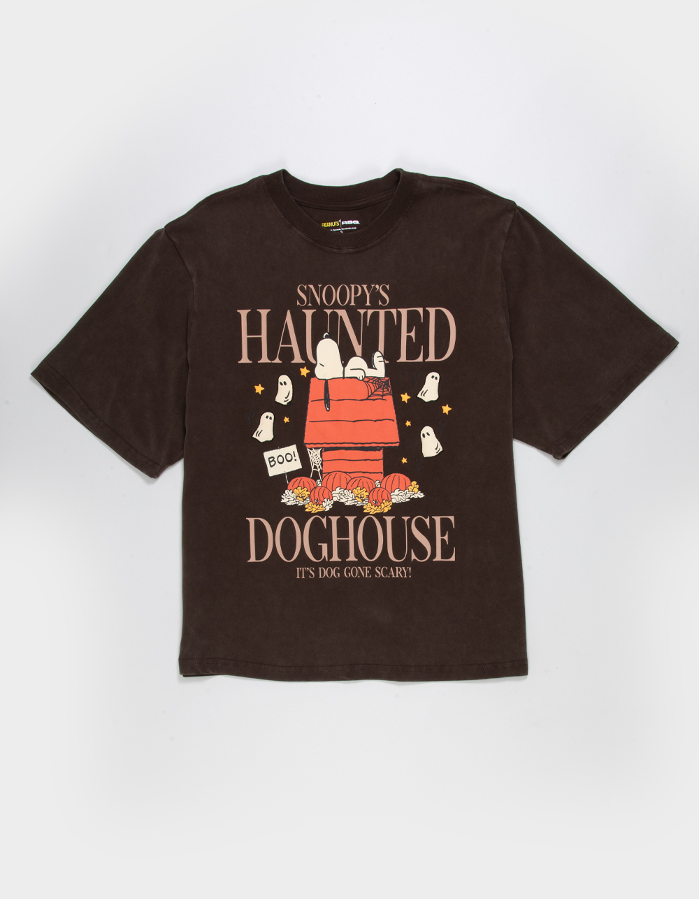 RSQ x Peanuts Doghouse Mens Tee - BROWN