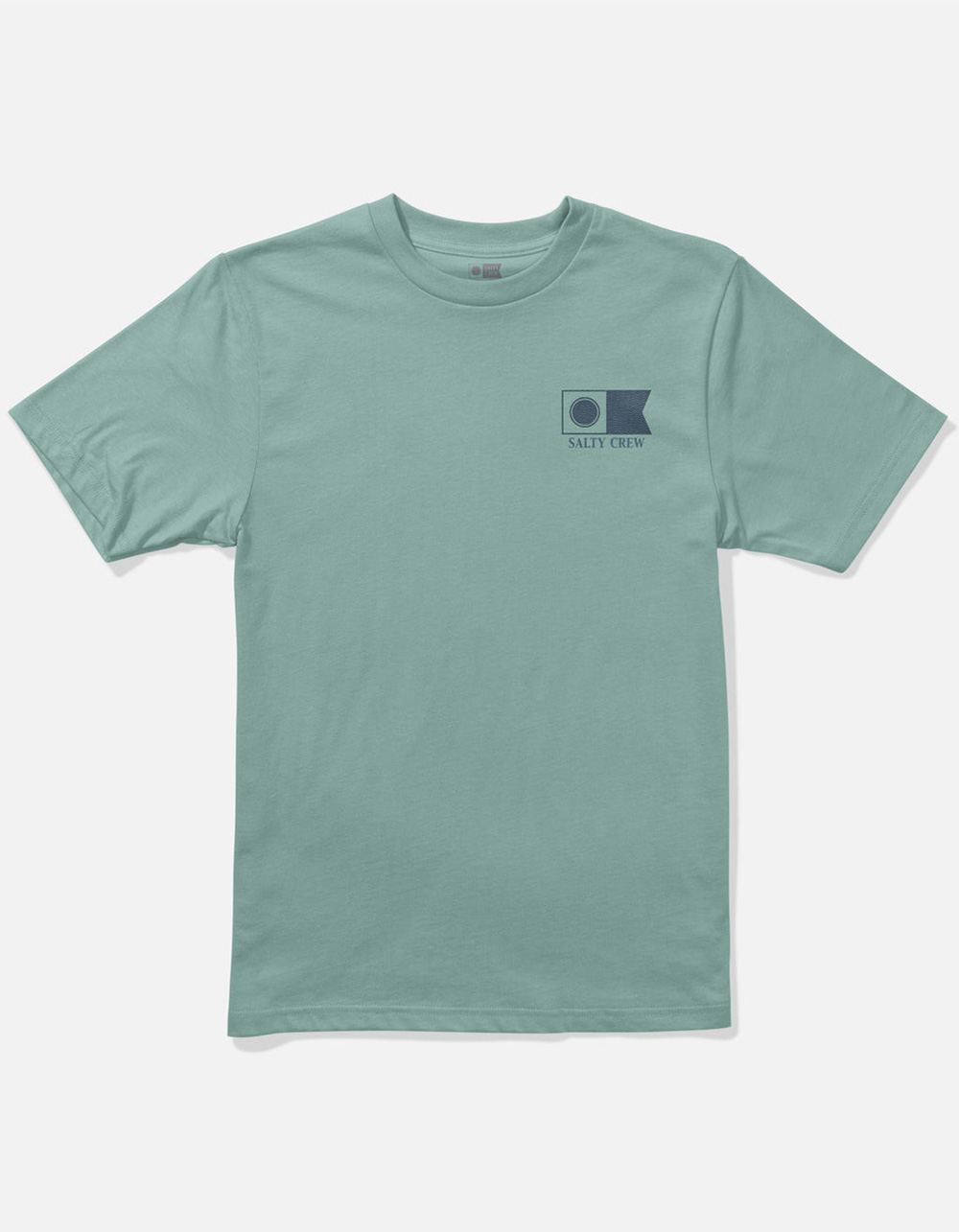 SALTY CREW Flagship Fill Boys Tee - MINT
