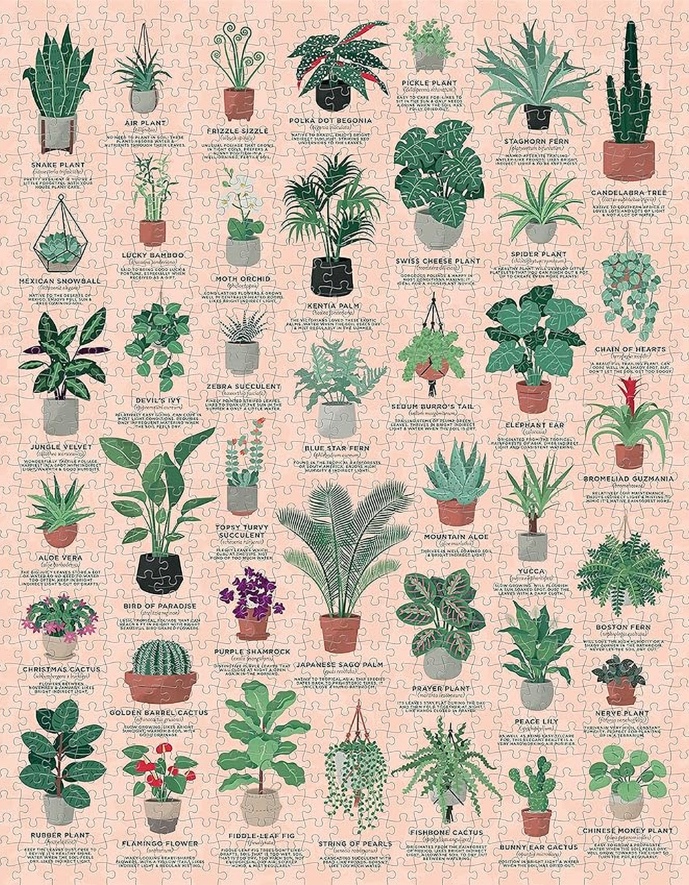 Ridley's Plants 1000 Piece Jigsaw Puzzle MULTI Tillys