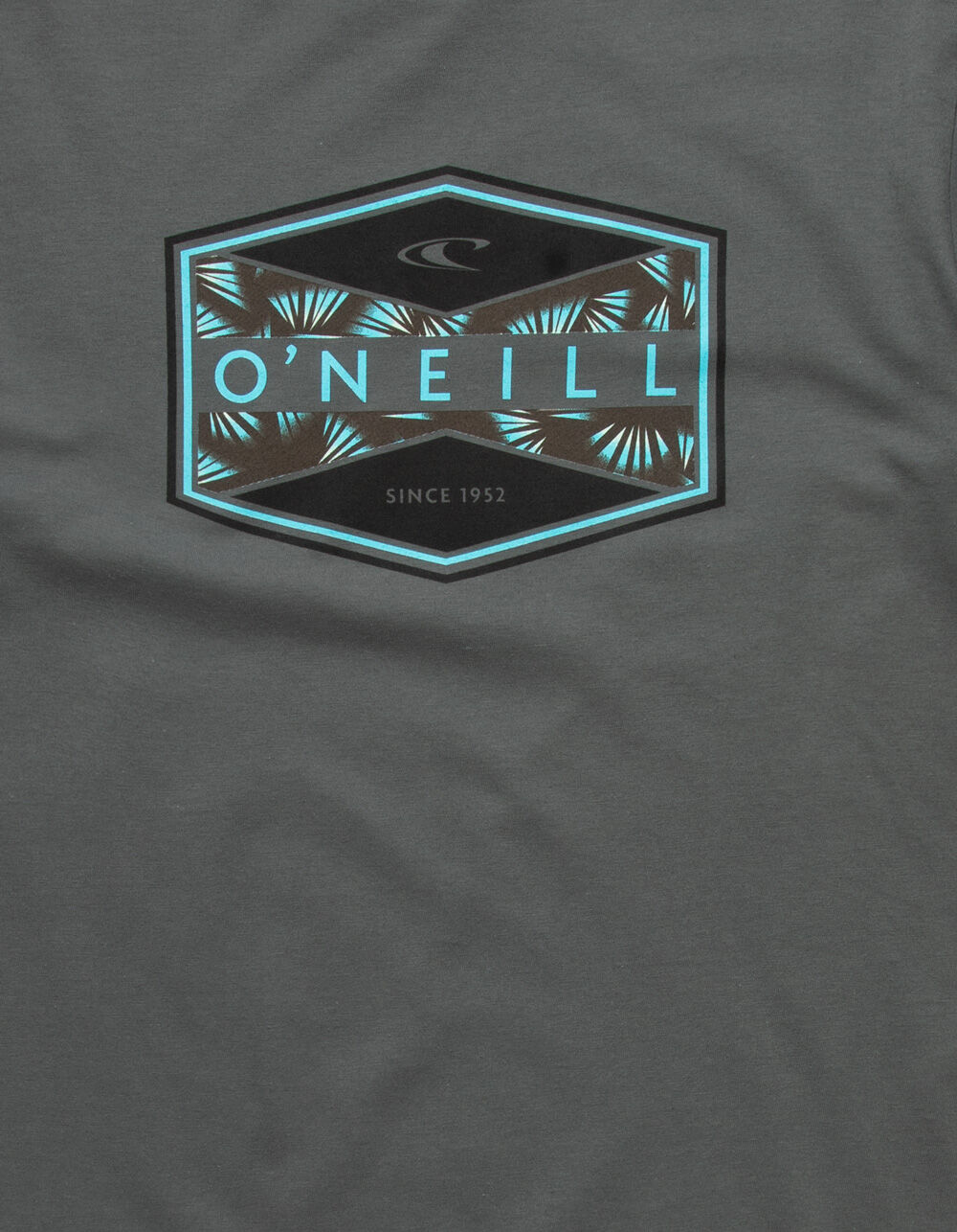 O'NEILL Shoots Mens T-Shirt - CHARCOAL | Tillys
