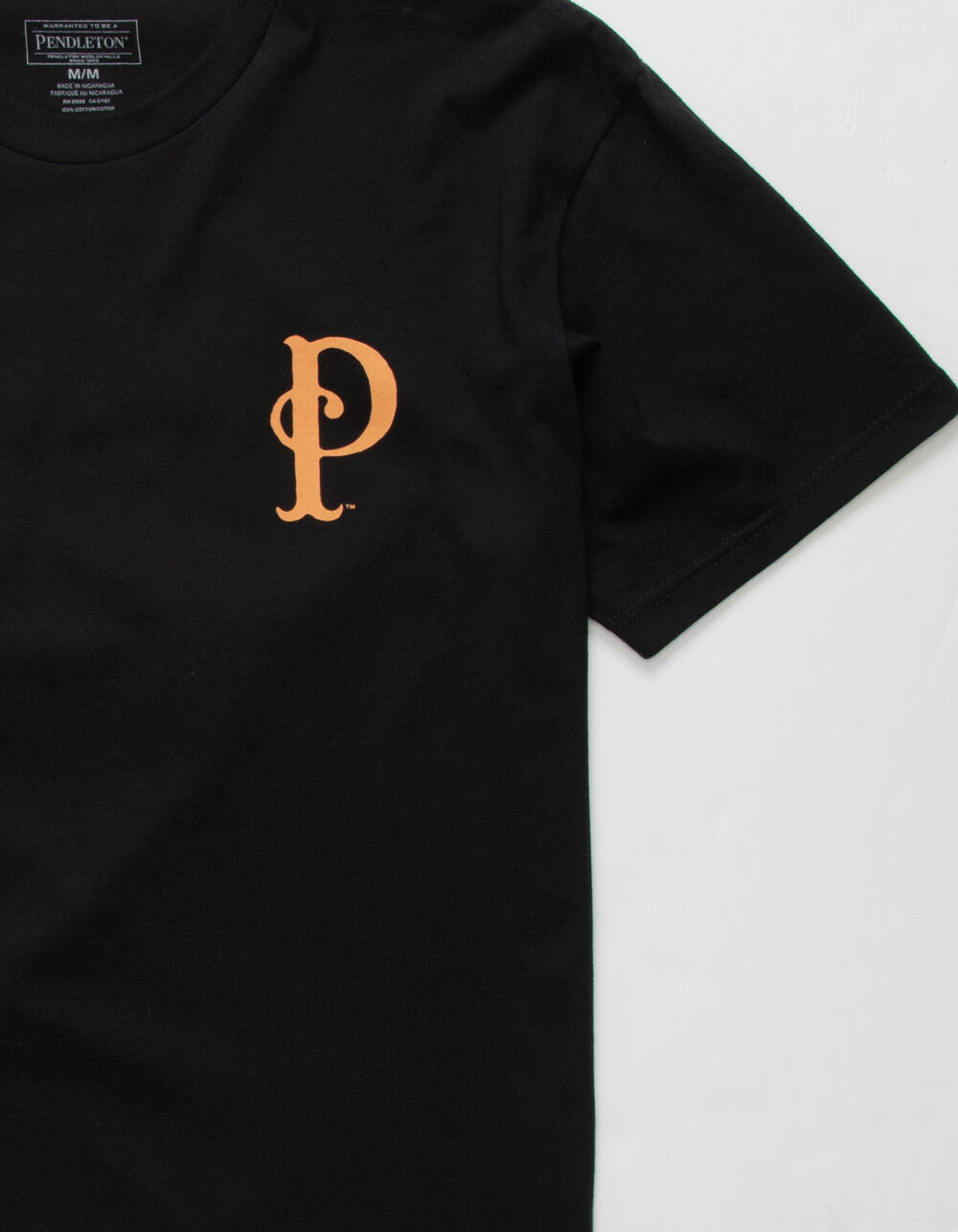PENDLETON Pilot Rock Mens T-Shirt - BLACK | Tillys