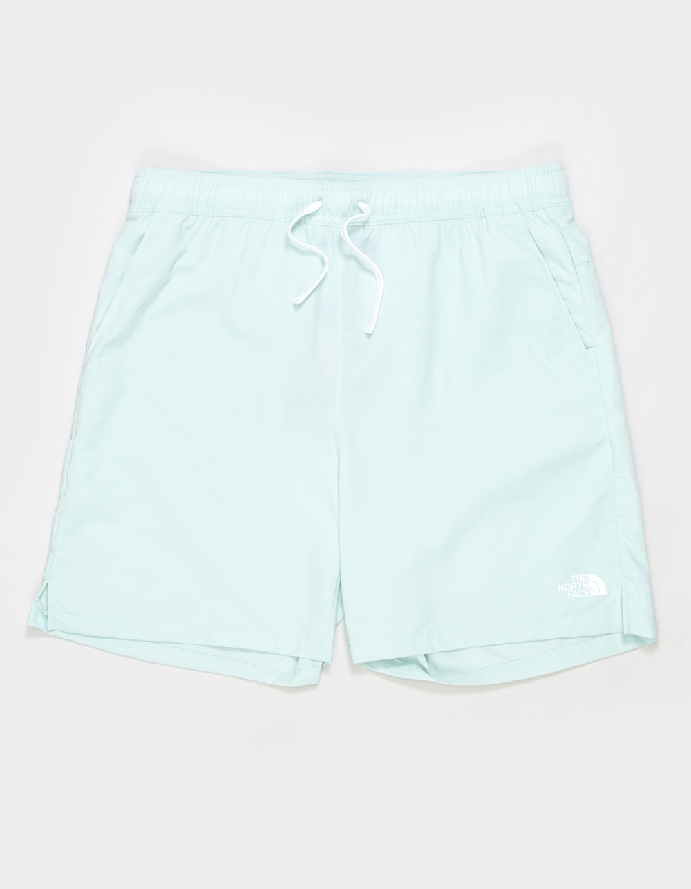 THE NORTH FACE Action 2.0 Mens Shorts