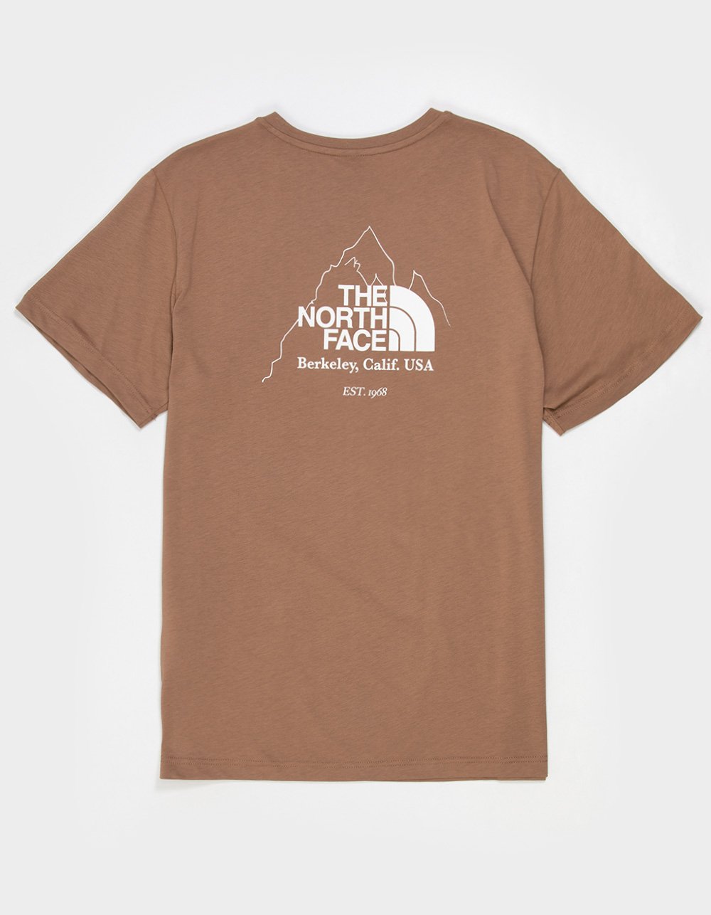 THE NORTH FACE Biner Graphic 4 Mens Tee - BROWN