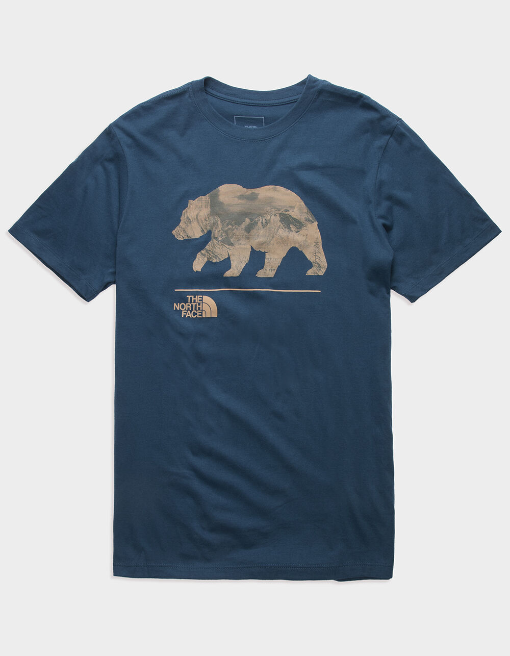 THE NORTH FACE Bearscape Mens Tee | Arden Fair