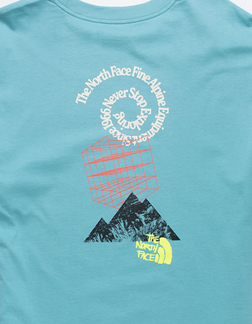 THE NORTH FACE Mountain Mens Tee