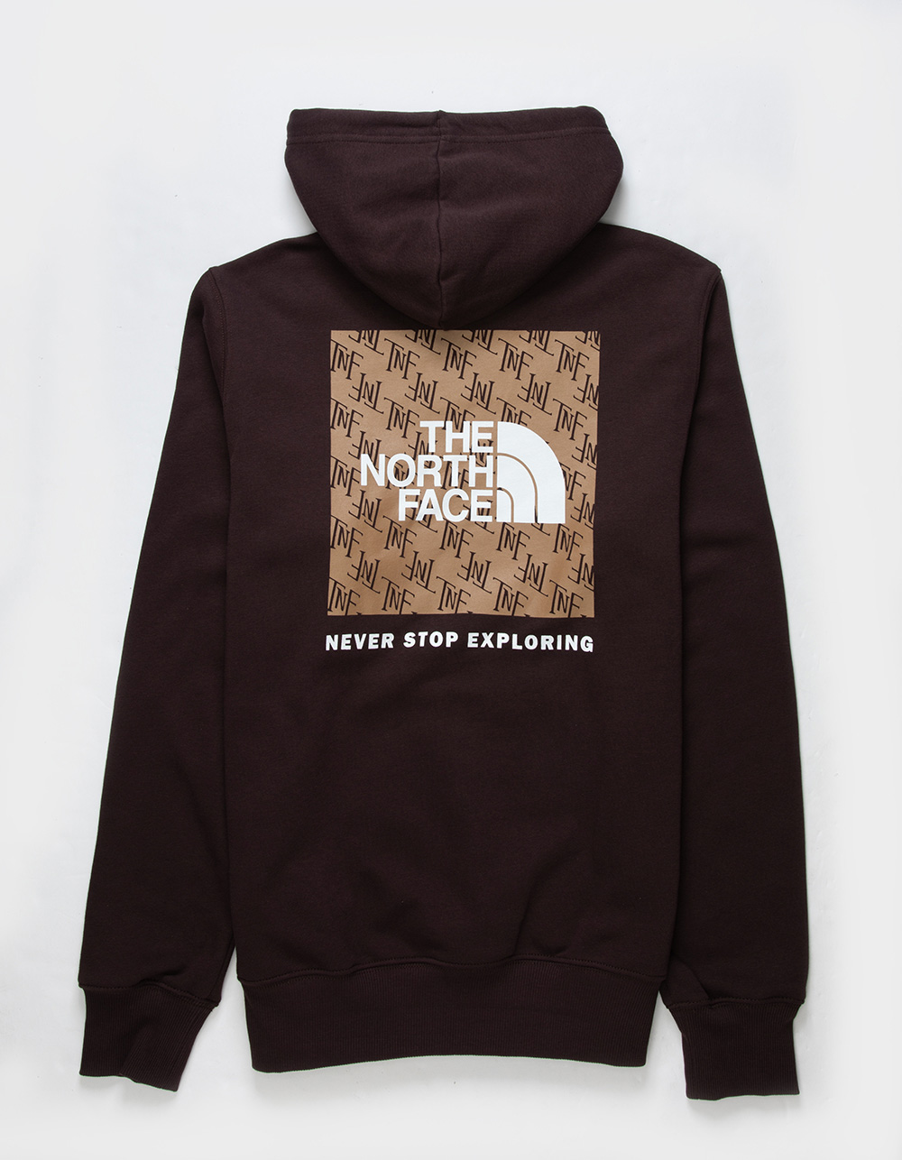 the north face hoodie tillys