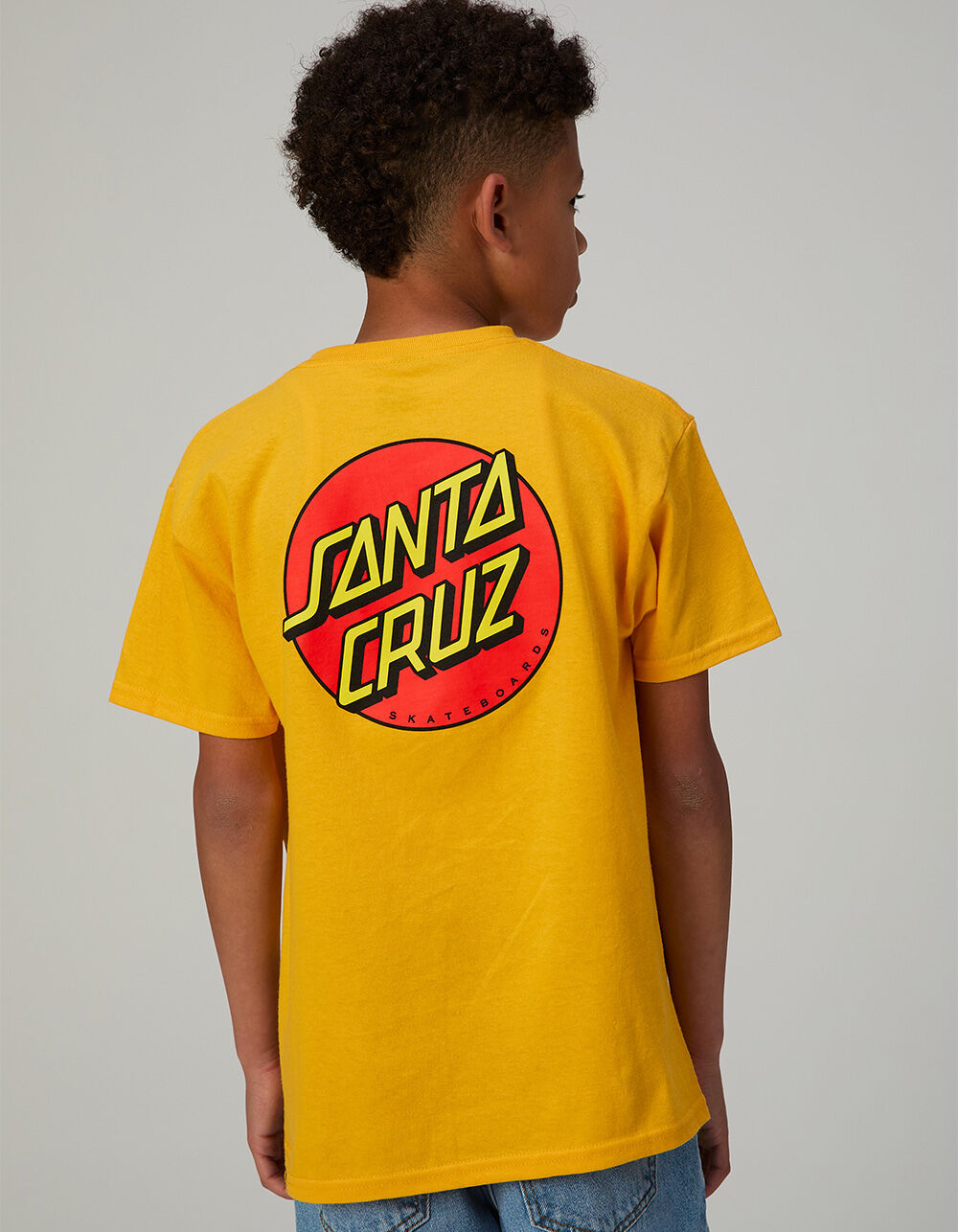 SANTA CRUZ Classic Dot Boys Tee