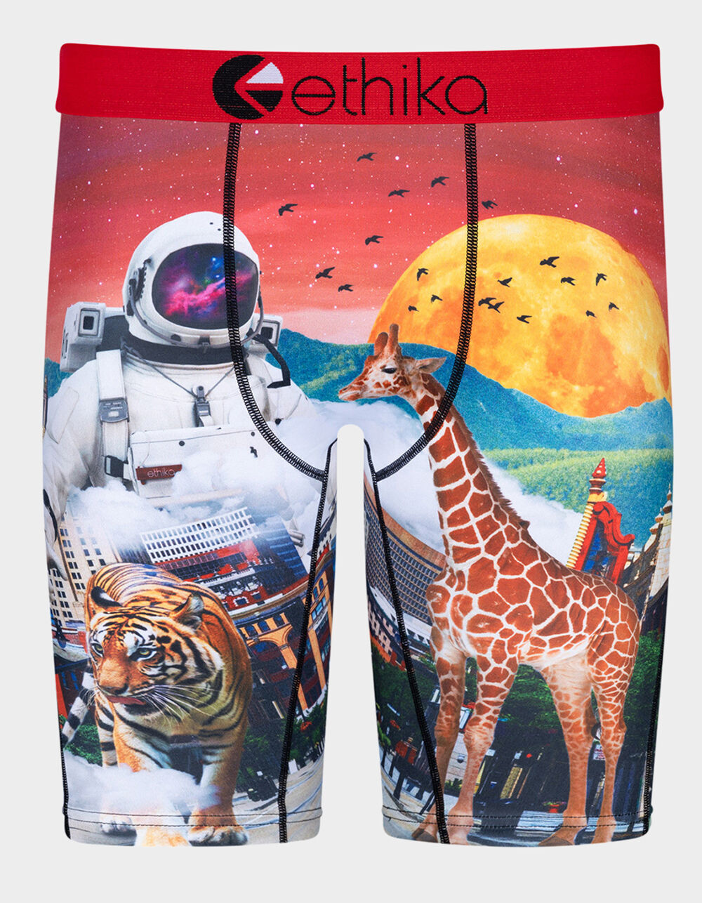 ETHIKA Astro Zoo Staple Boys Boxer Briefs