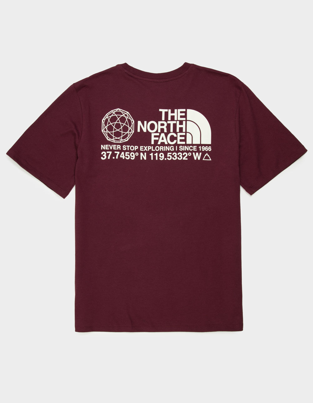 THE NORTH FACE Coordinates Mens Tee