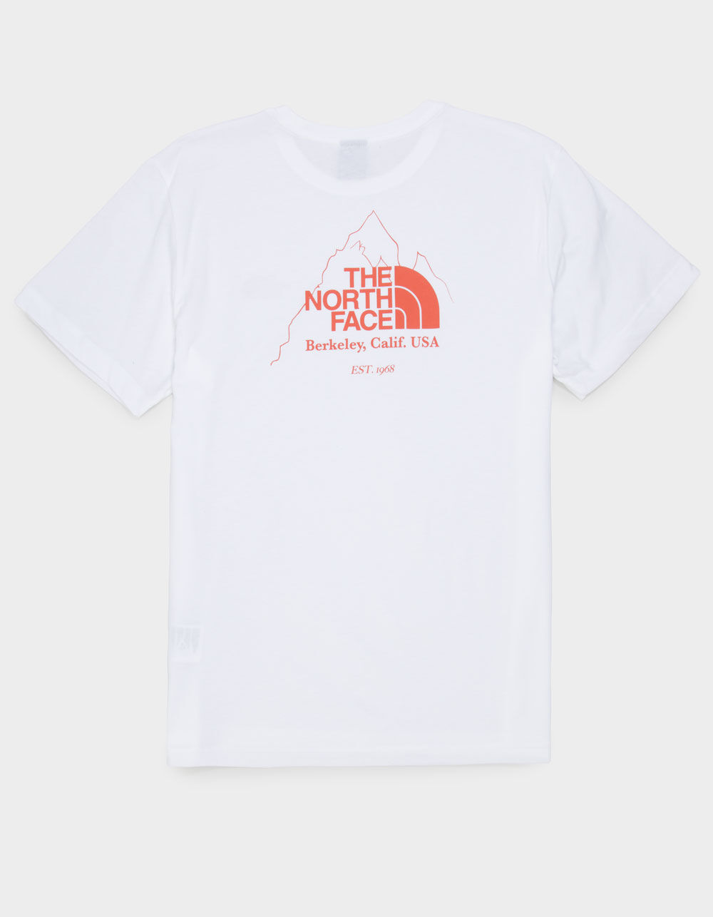 THE NORTH FACE Biner Graphic 4 Mens Tee