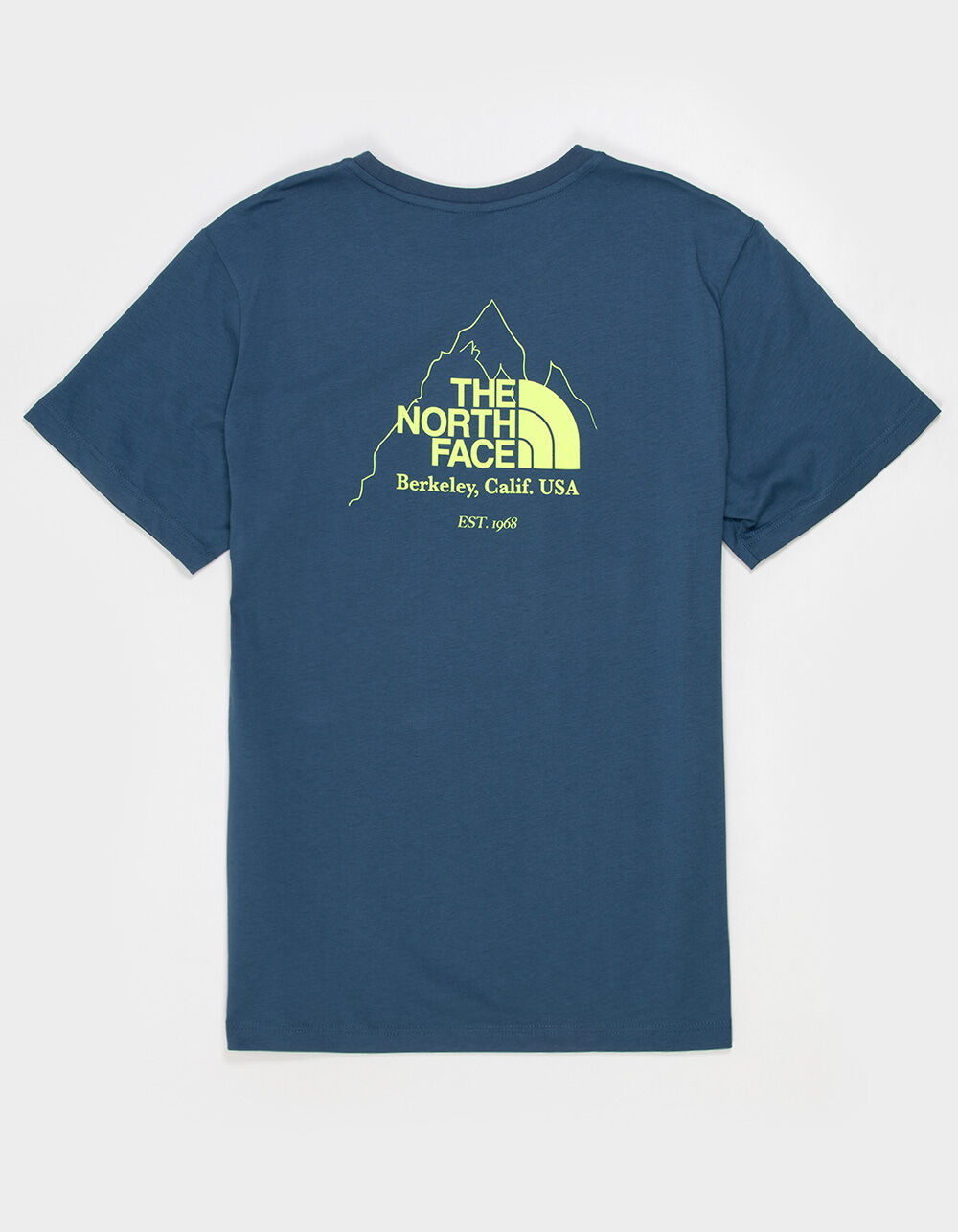 THE NORTH FACE Biner Graphic 4 Mens Tee
