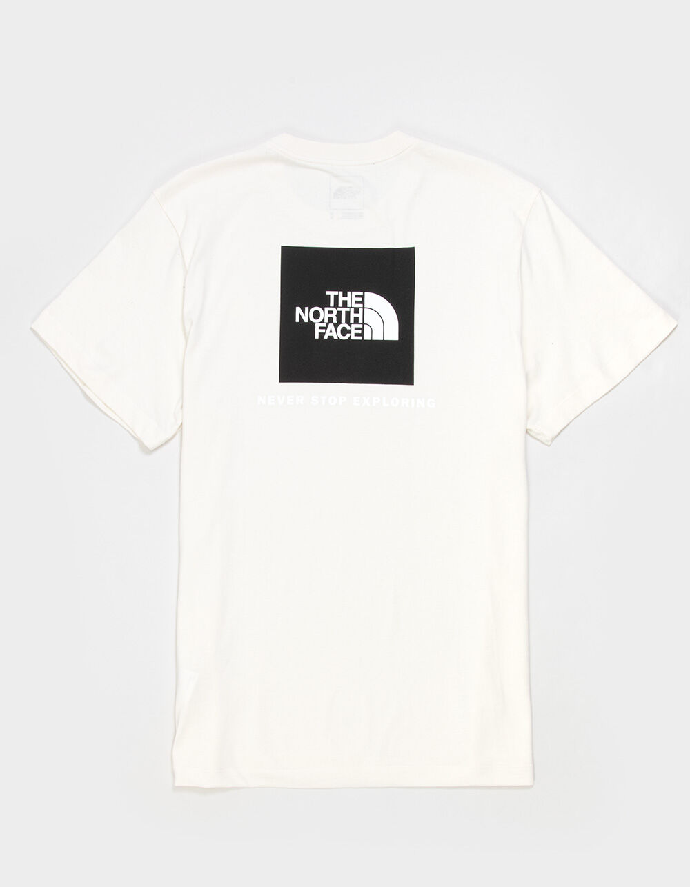 THE NORTH FACE Box NSE Mens Tee