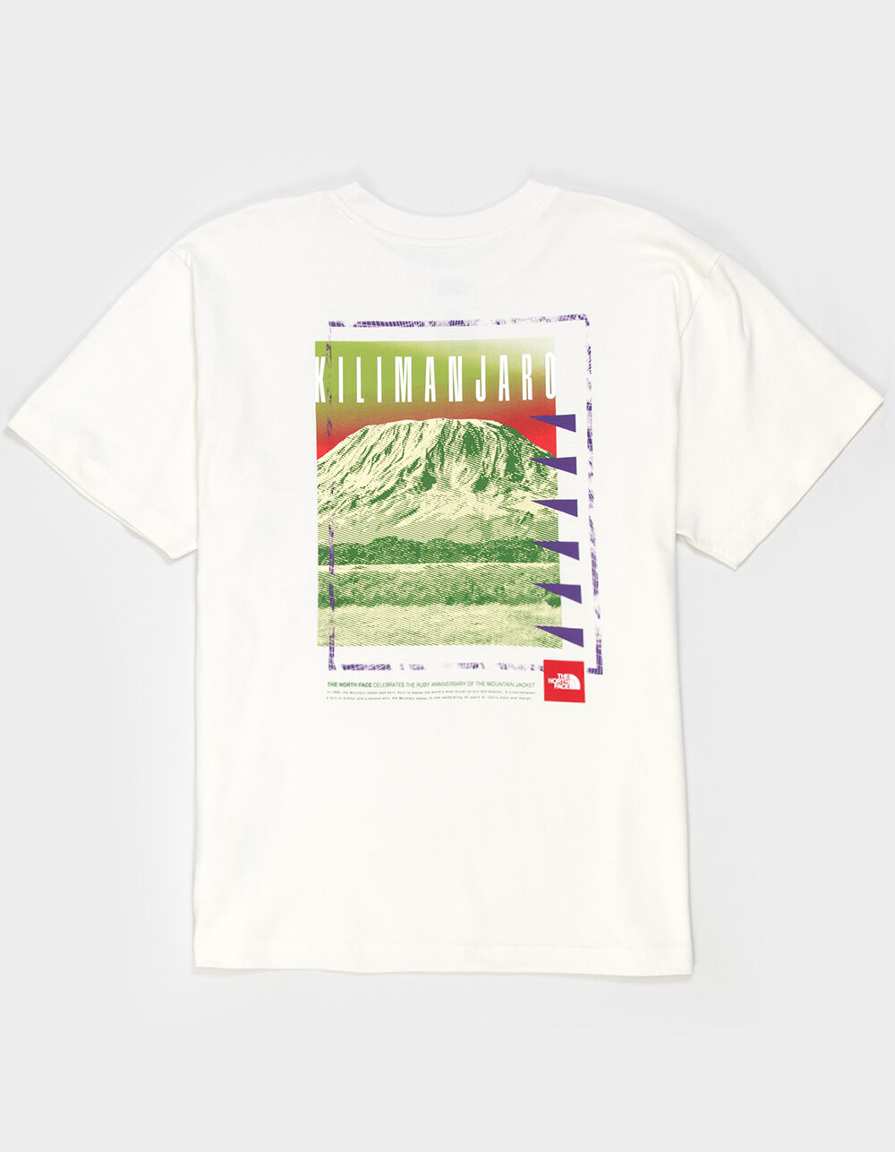 THE NORTH FACE Kilimanjaro Mens Heavyweight Tee