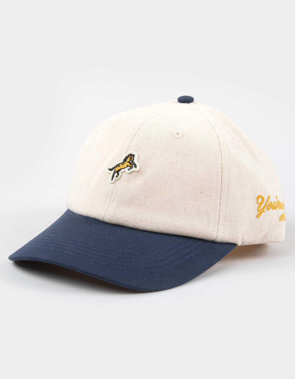 HEMLOCK HAT CO. Bozeman Dad Snapback Hat