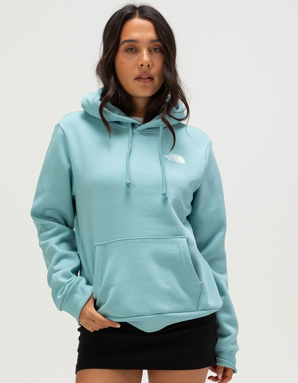 THE NORTH FACE Evolution Box NSE Womens Hoodie