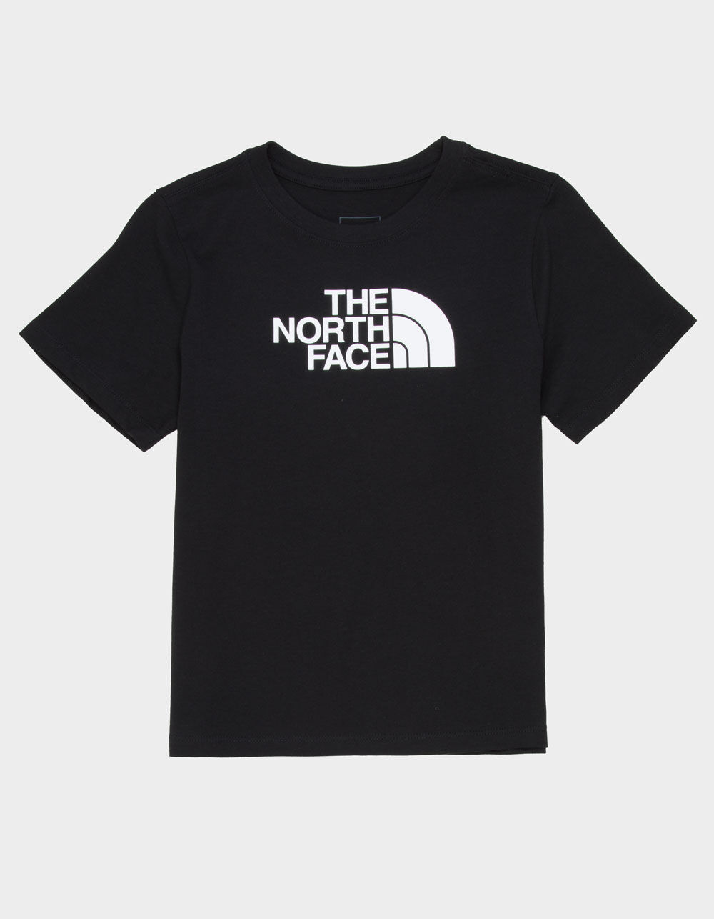 THE NORTH FACE Evo Half Dome Boys Tee