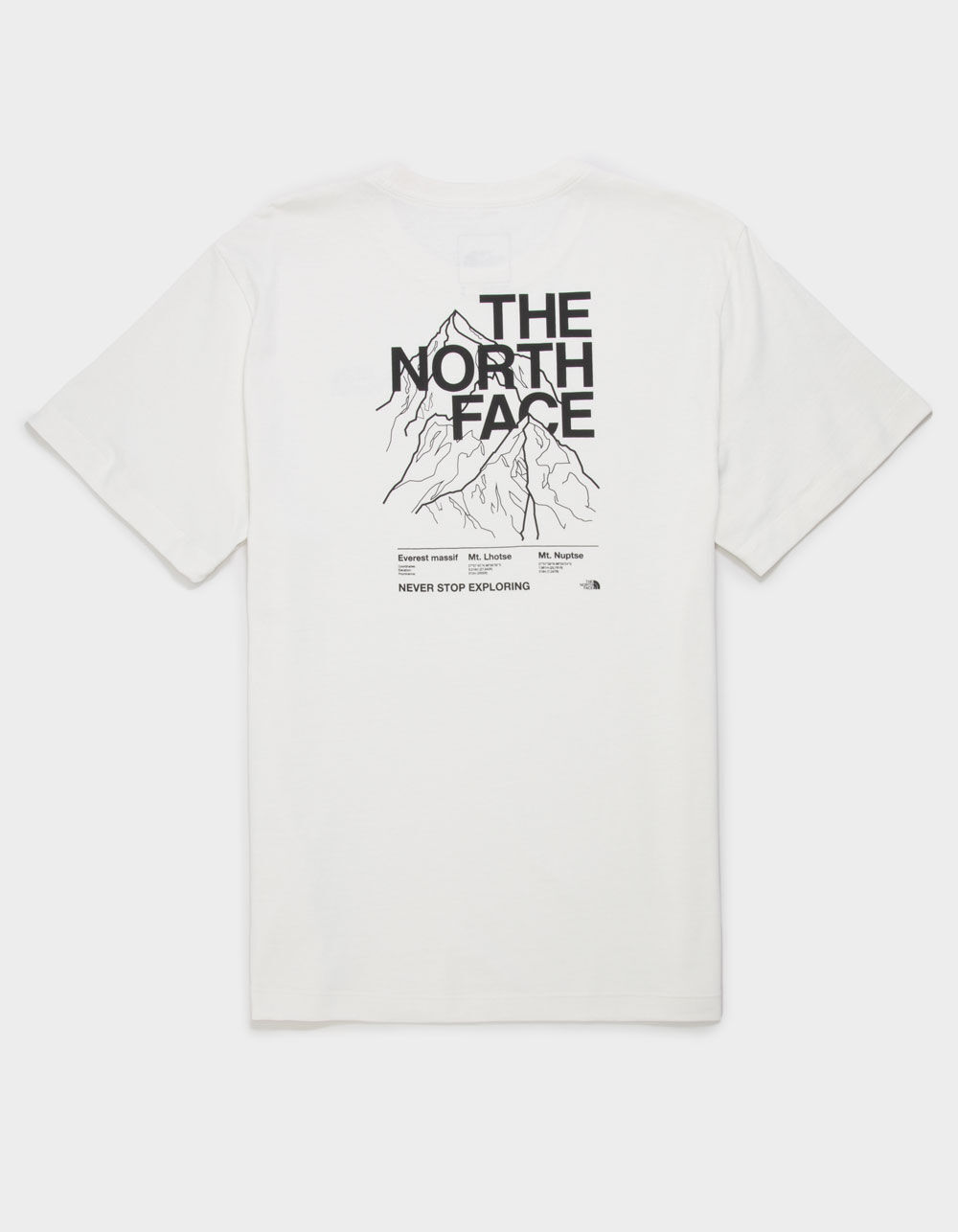 THE NORTH FACE Evolution Half Dome Mens Tee