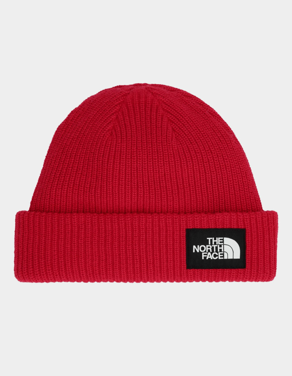 THE NORTH FACE Salty Lined Beanie