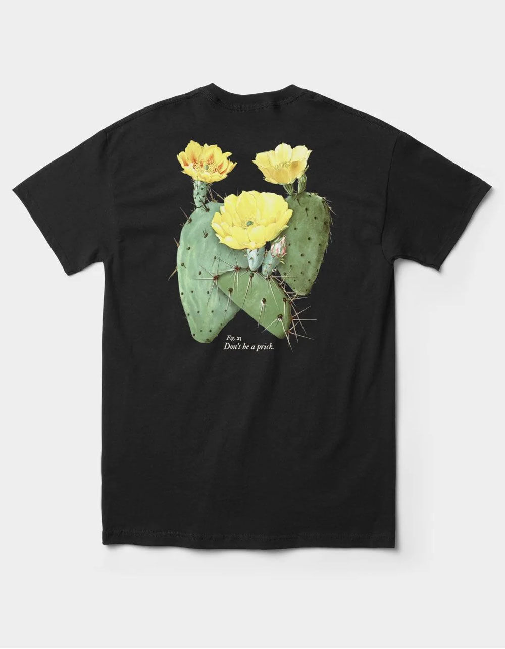 BECAUSE WEEKEND Prickly Mens Tee