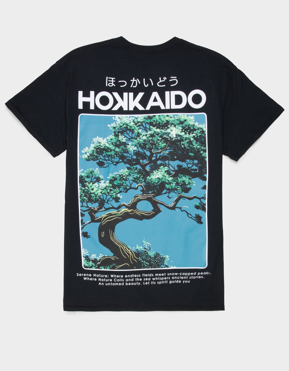 CVLA Hokkaido Mens Tee
