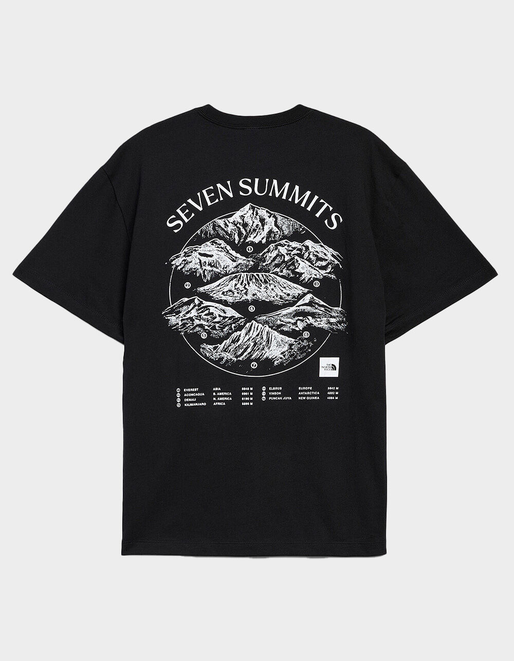 THE NORTH FACE Seven Summits Mens Tee