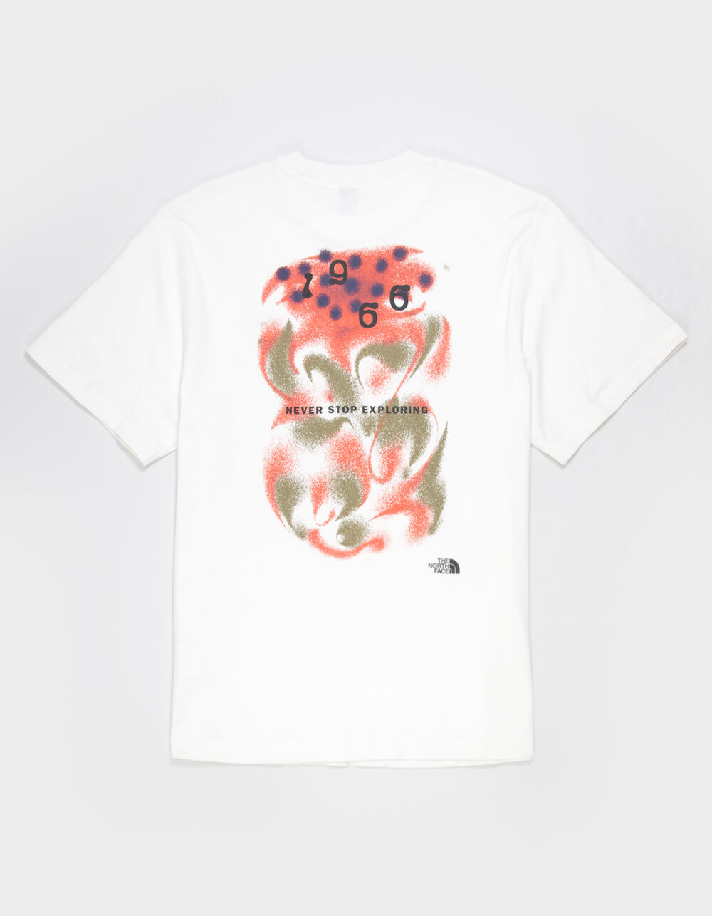 THE NORTH FACE 1966 Motion Mens Tee