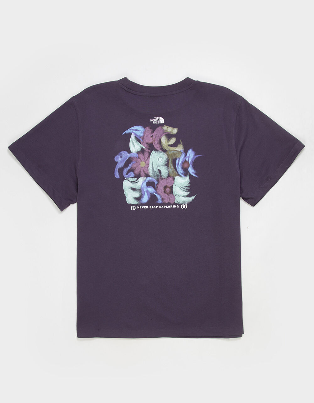 THE NORTH FACE 1966 Mens Tee