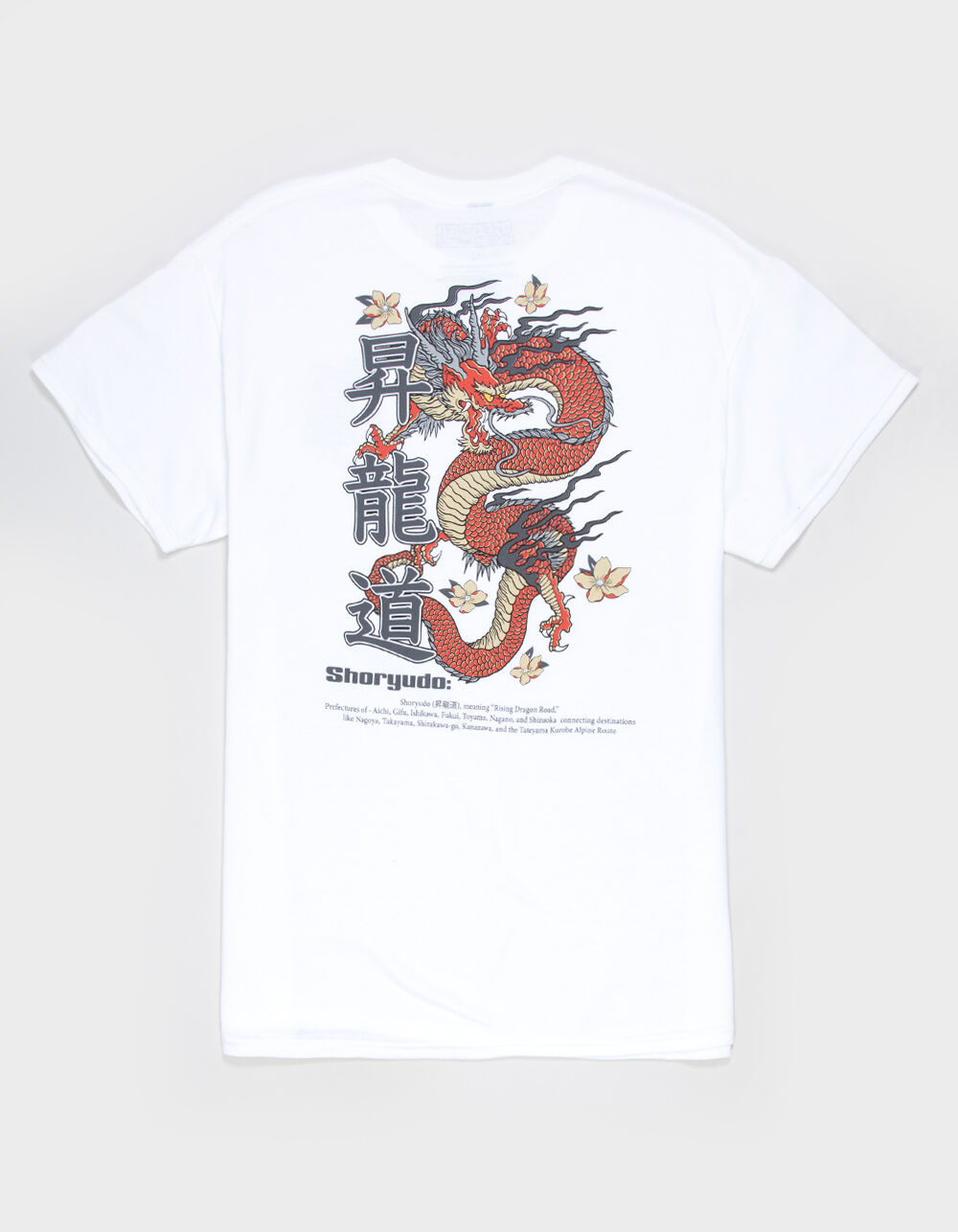 PLEASANT GETAWAY Shoryudo Mens Tee